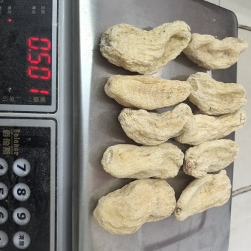 天麻湖北宜昌产地大量供应，品质保证优质货源