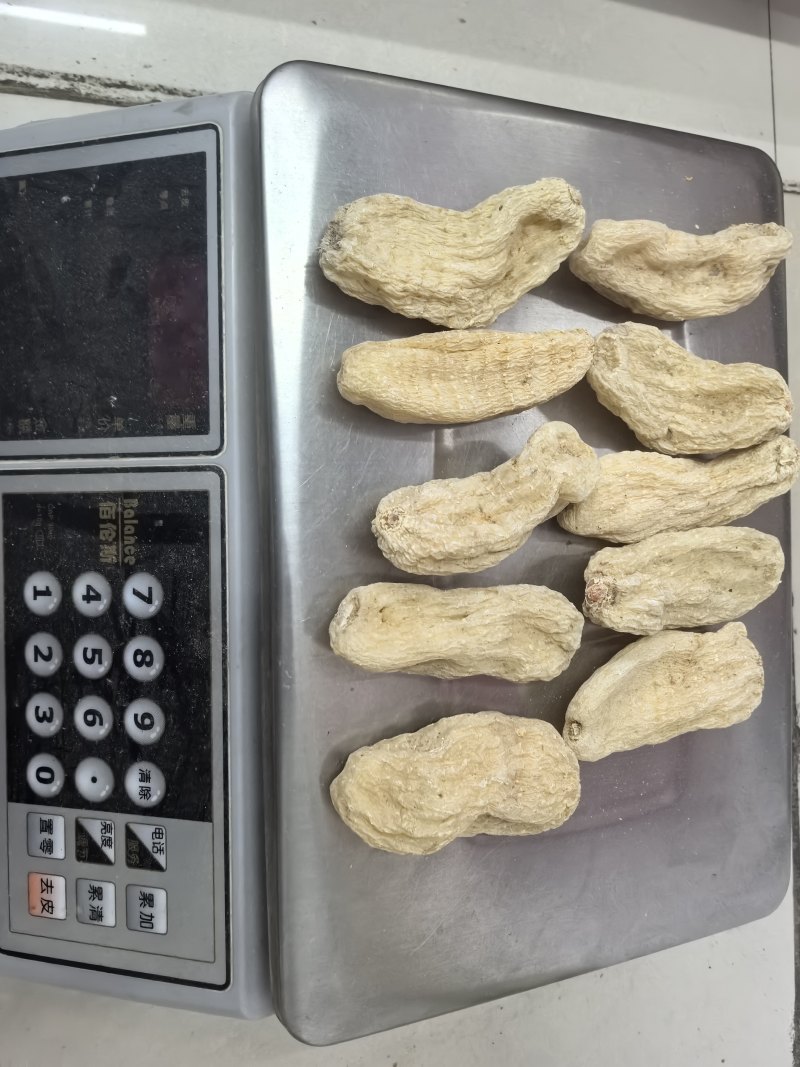 天麻湖北宜昌产地大量供应，品质保证优质货源