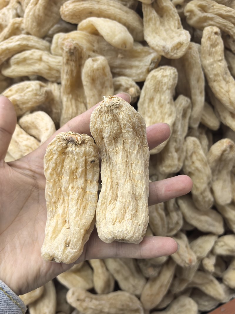天麻湖北宜昌产地大量供应，品质保证优质货源