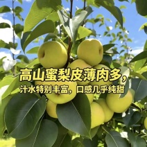梨