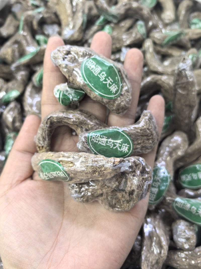 云南昭通乌天麻小乌麻全干品质保证货源充足欢迎订购