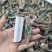 云南昭通乌天麻小乌麻全干品质保证货源充足欢迎订购