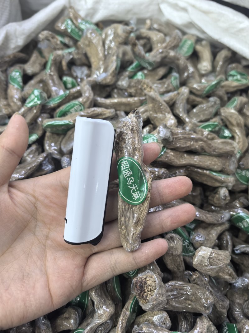 云南昭通乌天麻小乌麻全干品质保证货源充足欢迎订购