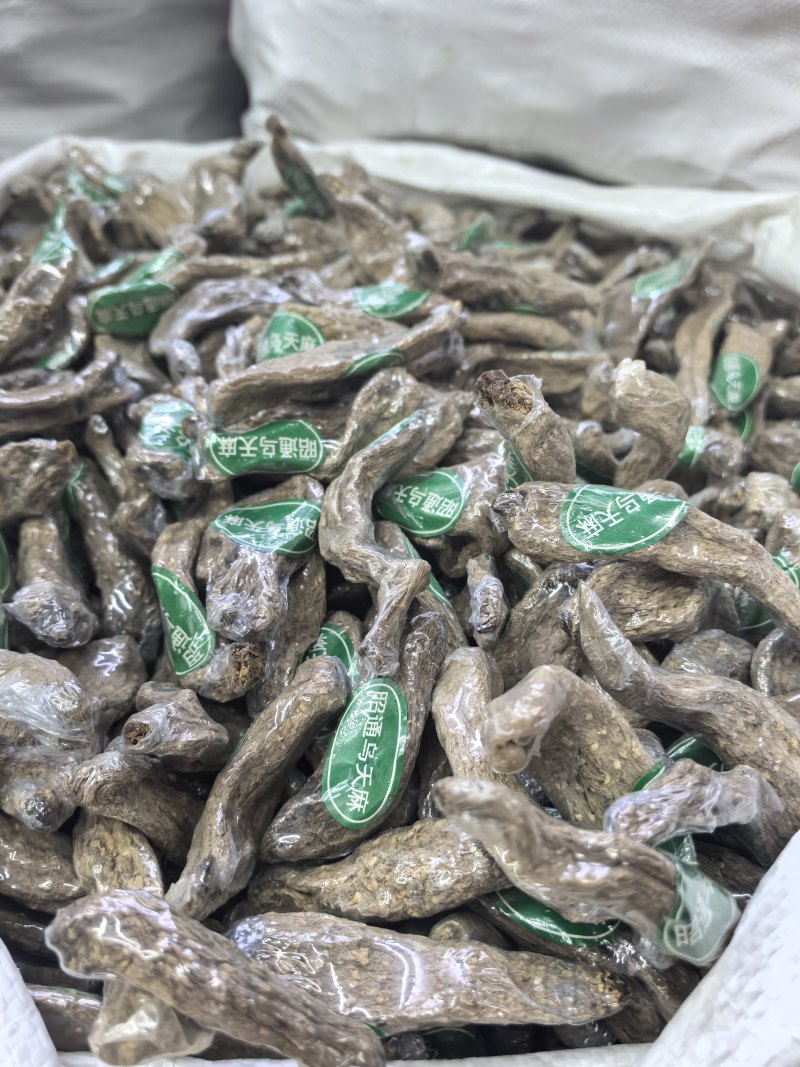 云南昭通乌天麻小乌麻全干品质保证货源充足欢迎订购