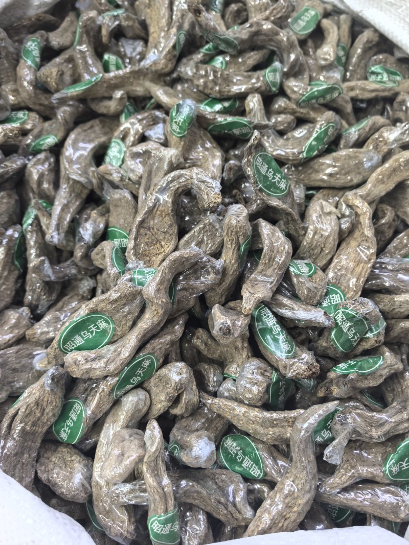 云南昭通乌天麻小乌麻全干品质保证货源充足欢迎订购