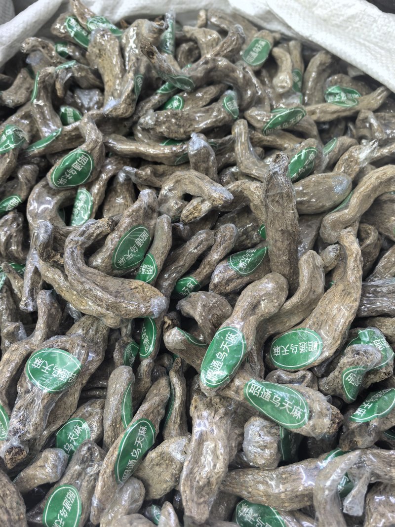 云南昭通乌天麻小乌麻全干品质保证货源充足欢迎订购
