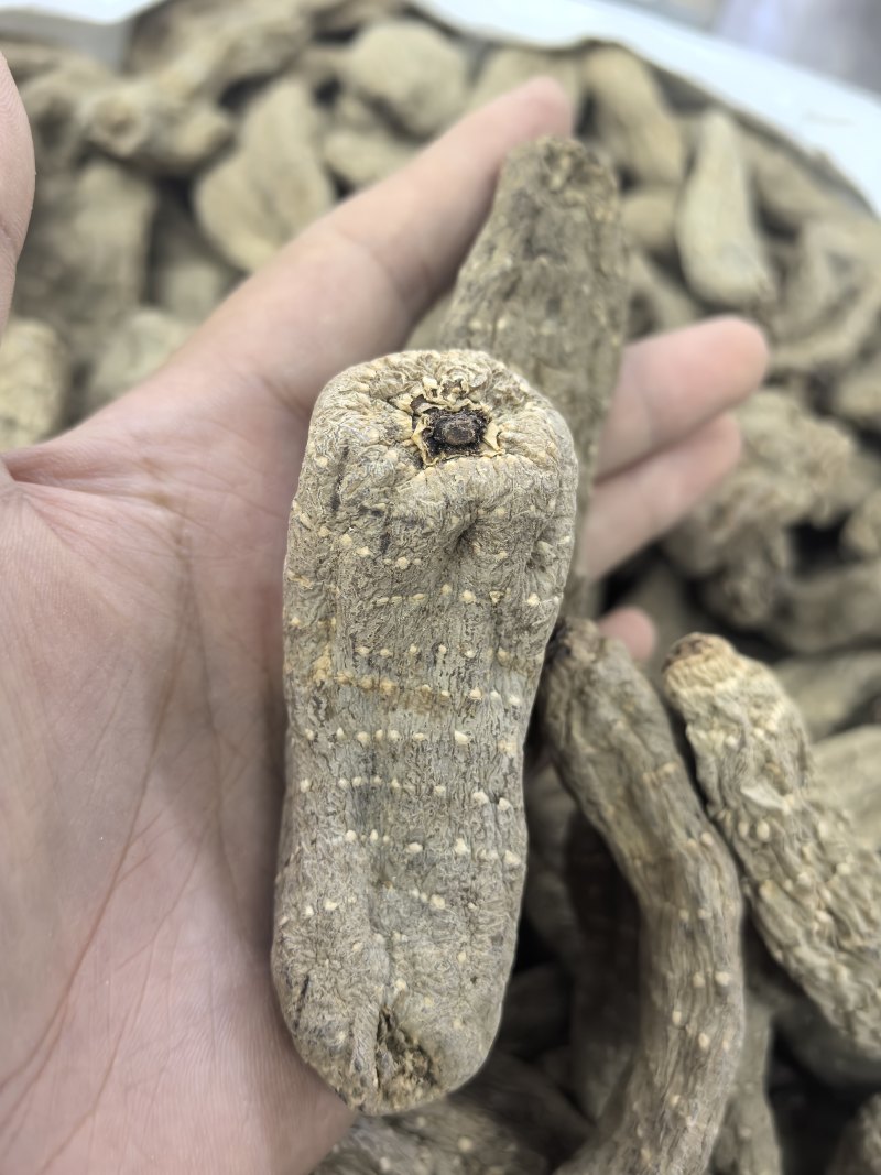 优质乌天麻小乌麻湖北产地供应价格优惠诚信经营