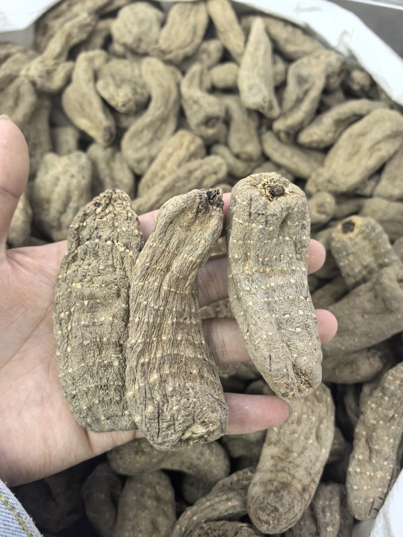 优质乌天麻小乌麻湖北产地供应价格优惠诚信经营
