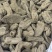 优质乌天麻小乌麻湖北产地供应价格优惠诚信经营