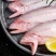 东海特产龙头鱼新鲜豆腐鱼海鲜活冷冻九肚鱼生鲜批发冰鲜海鱼
