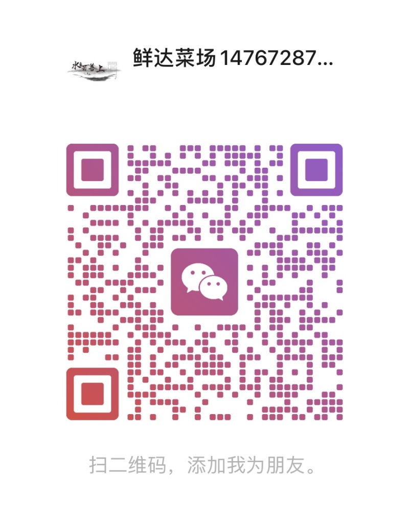 墨鱼东海新鲜墨鱼鲜活乌贼特大目鱼墨鱼新鲜海捕野生批发火锅批发