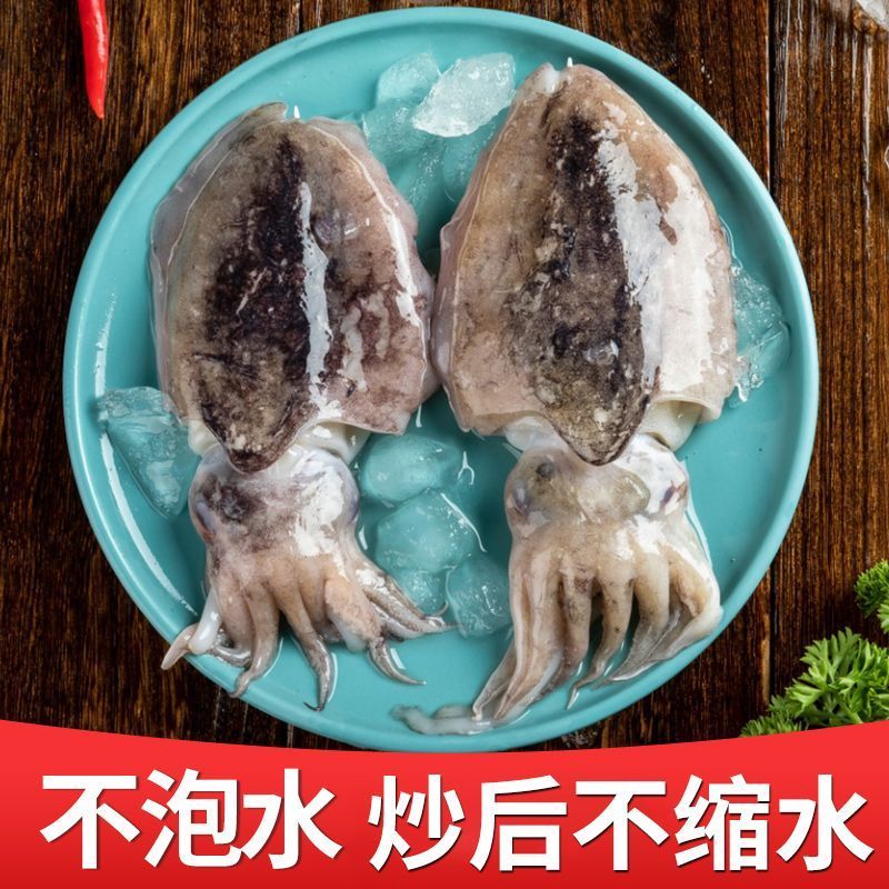 墨鱼东海新鲜墨鱼鲜活乌贼特大目鱼墨鱼新鲜海捕野生批发火锅批发
