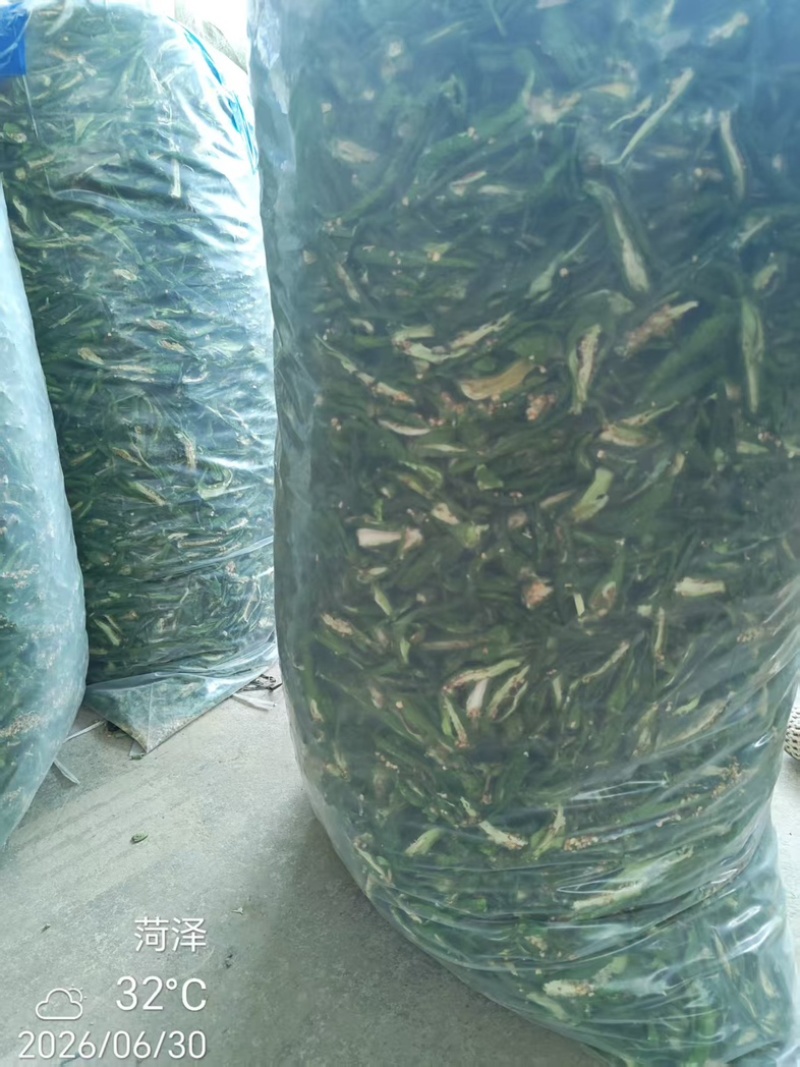 精品干辣椒，青辣椒