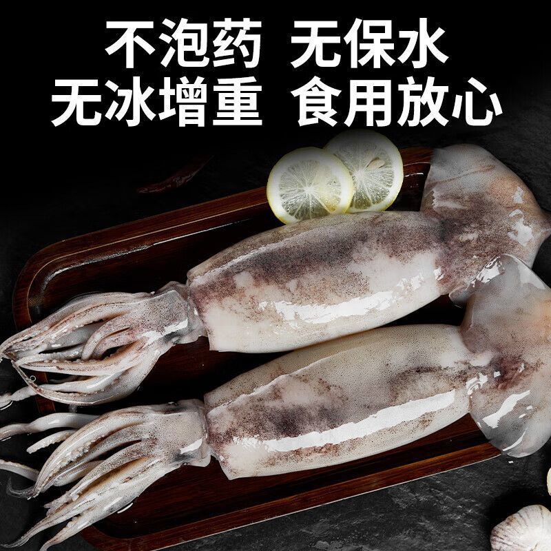 鱿鱼新鲜国产大鱿鱼无冰野生海捕大鱿鱼整只烧烤批发海兔冰鲜发货
