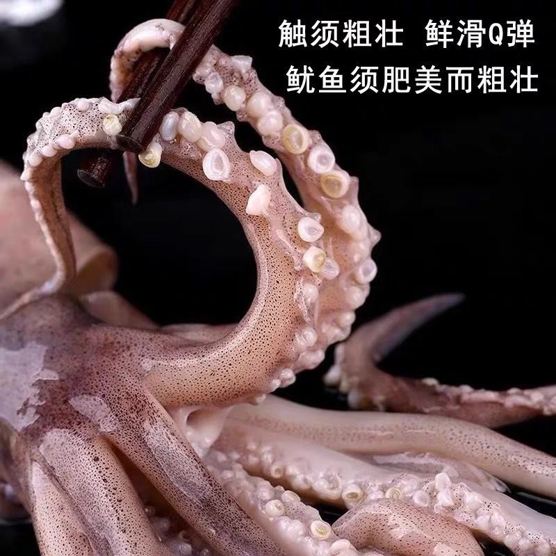 鱿鱼新鲜国产大鱿鱼无冰野生海捕大鱿鱼整只烧烤批发海兔冰鲜发货