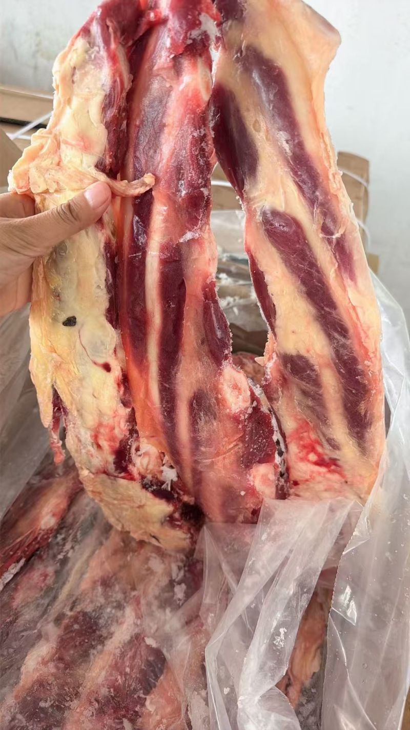 国产燕翅骨