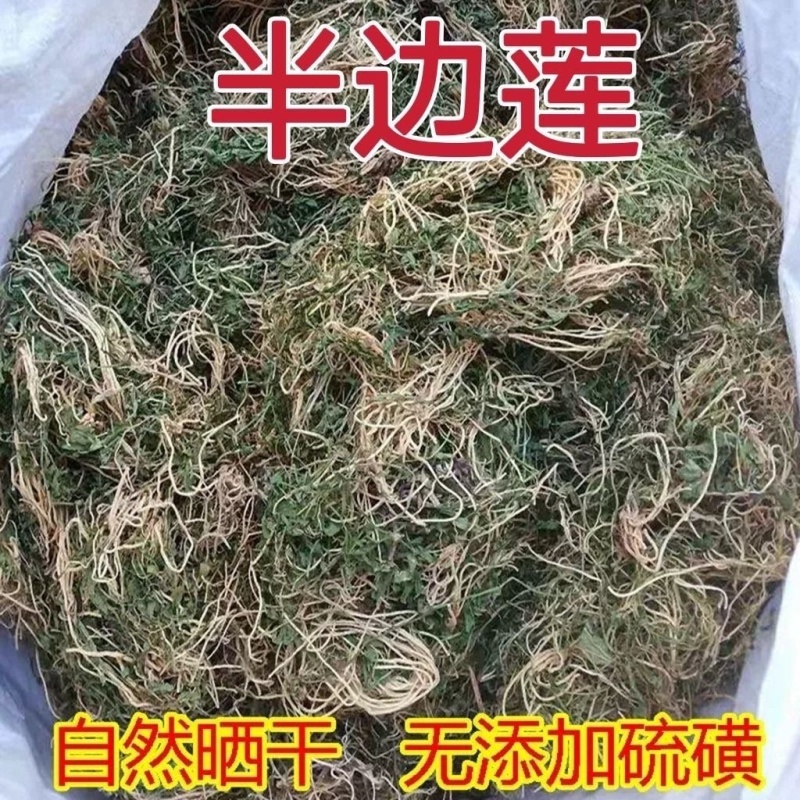 新鲜晒干***无流半边莲半支莲半边花细米草