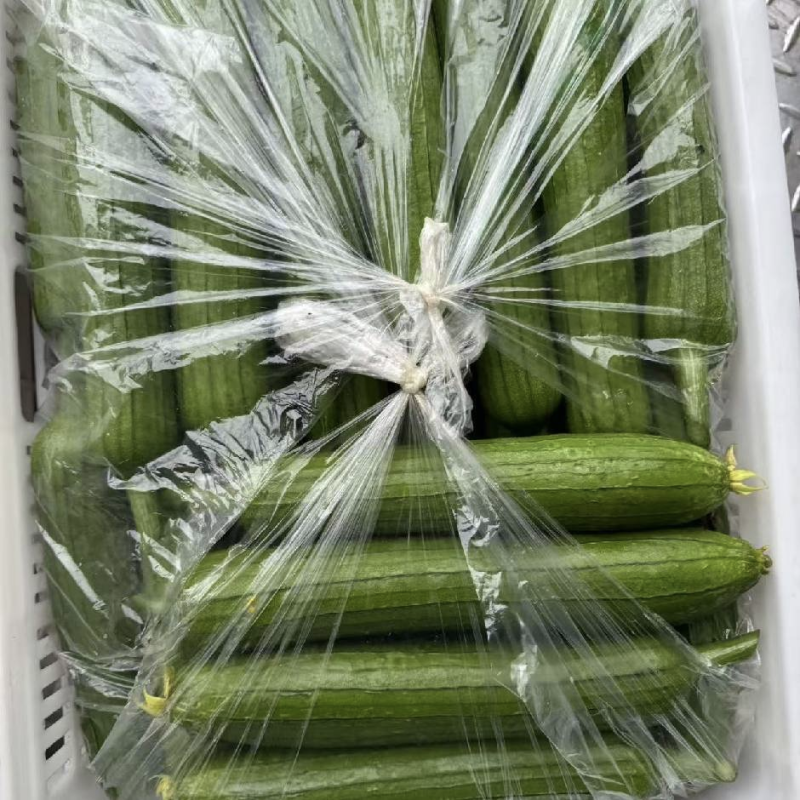 河南精品油皮丝瓜，常年有货，货源稳定，常年供应。