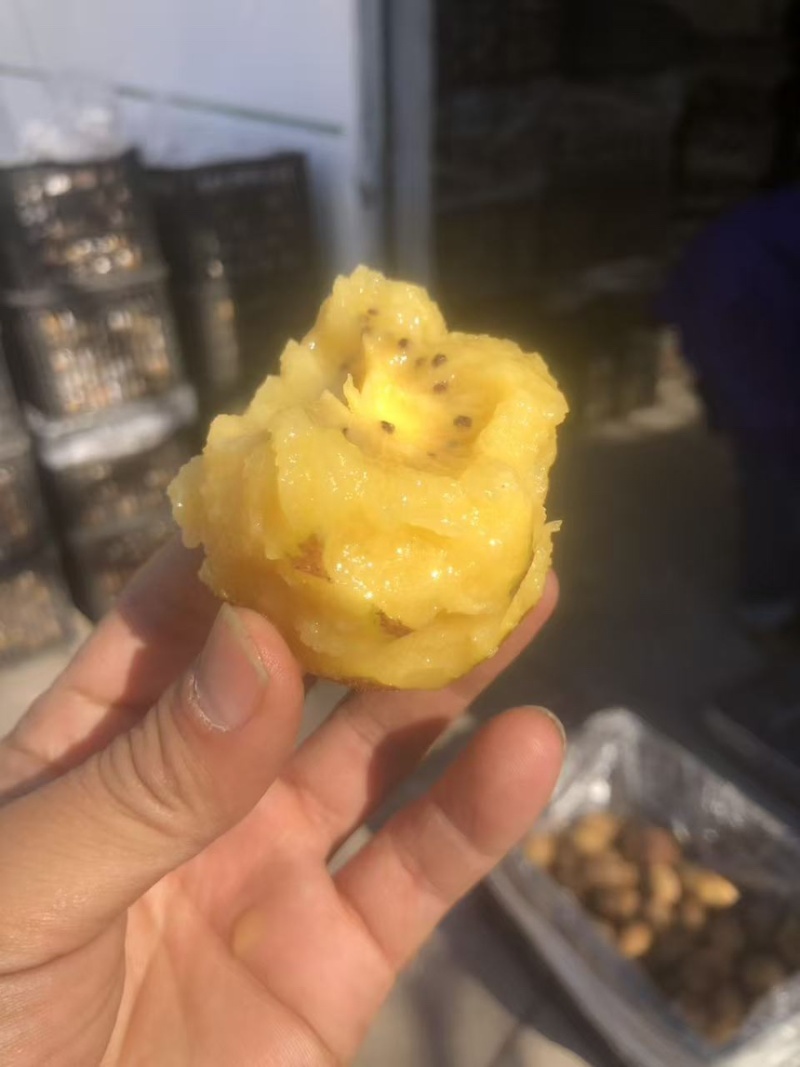 湖南米良1号