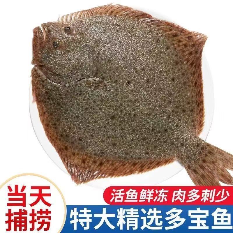 鲜活海鲜新鲜多宝鱼大菱鲆比目鱼鲜活多宝鱼养殖海鱼批发冰鲜锁鲜