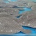 鲜活海鲜新鲜多宝鱼大菱鲆比目鱼鲜活多宝鱼养殖海鱼批发冰鲜锁鲜