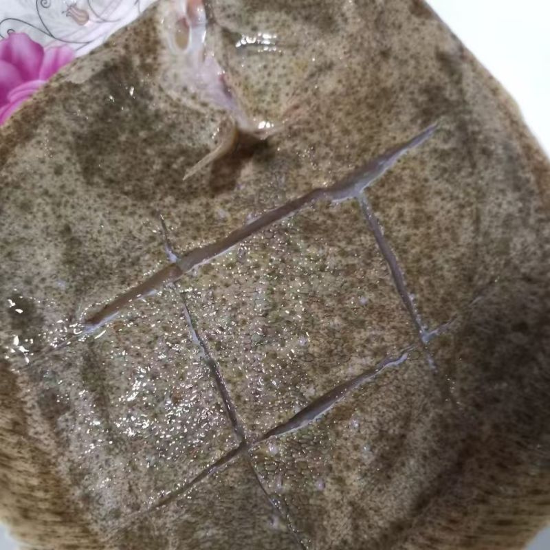 鲜活海鲜新鲜多宝鱼大菱鲆比目鱼鲜活多宝鱼养殖海鱼批发冰鲜锁鲜