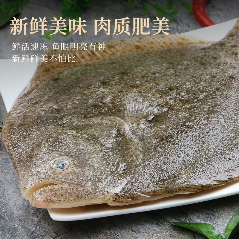 鲜活海鲜新鲜多宝鱼大菱鲆比目鱼鲜活多宝鱼养殖海鱼批发冰鲜锁鲜