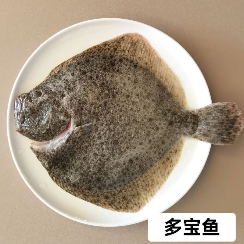 鲜活海鲜新鲜多宝鱼大菱鲆比目鱼鲜活多宝鱼养殖海鱼批发冰鲜锁鲜