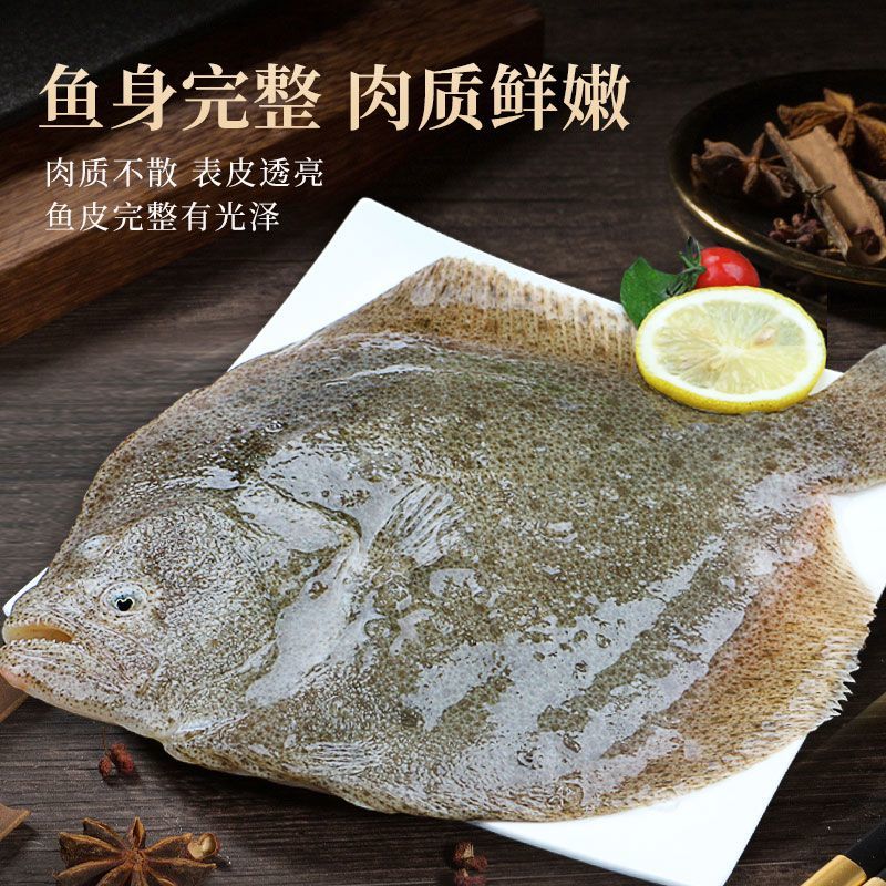 鲜活海鲜新鲜多宝鱼大菱鲆比目鱼鲜活多宝鱼养殖海鱼批发冰鲜锁鲜