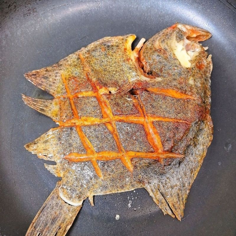 鲜活海鲜新鲜多宝鱼大菱鲆比目鱼鲜活多宝鱼养殖海鱼批发冰鲜锁鲜