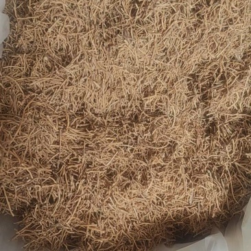 徐长卿干货无硫熏各种规格量大从优