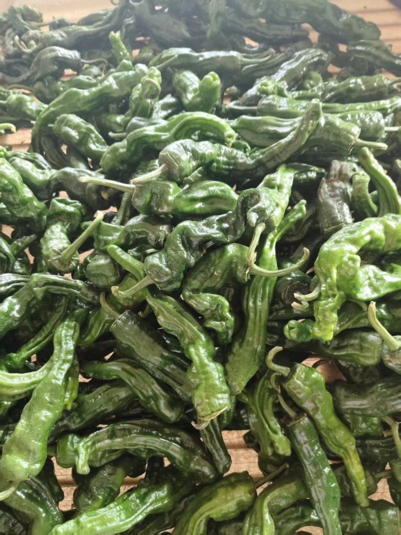 泡椒青椒大量上市价格可谈可视频看货欢迎来电咨询