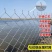 热镀锌铁丝网养殖勾花网围栏养鸡牛羊围栏网钢丝网果园防锈防