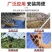 热镀锌铁丝网养殖勾花网围栏养鸡牛羊围栏网钢丝网果园防锈防