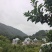 高山东魁杨梅