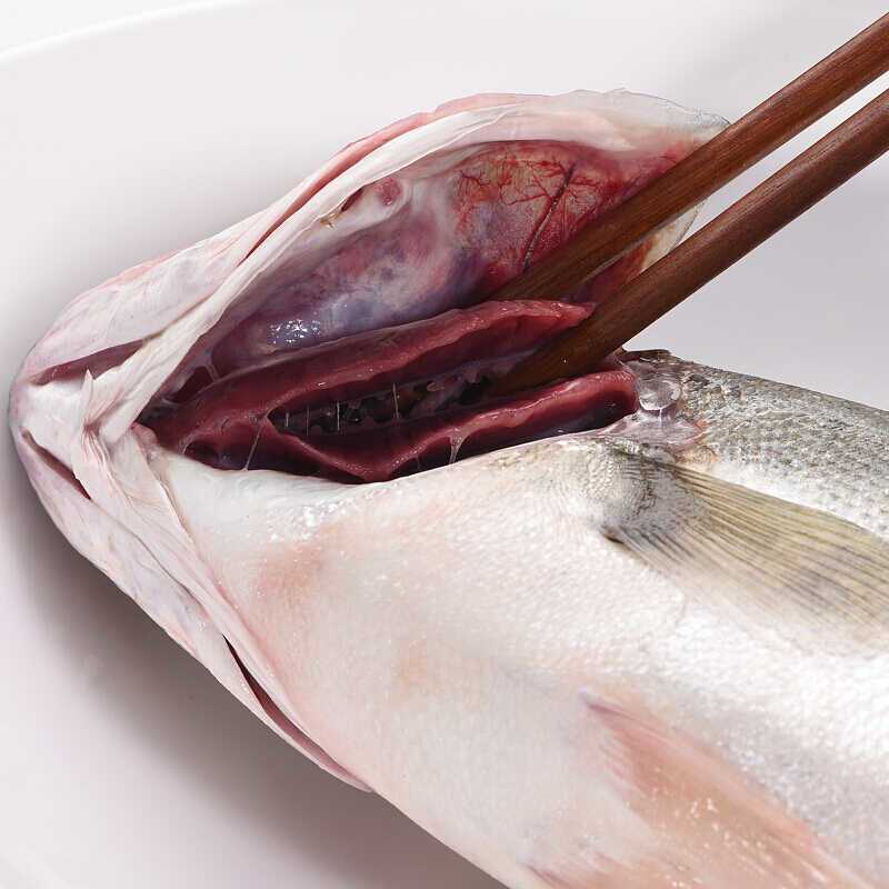 深海海鲈鱼特大新鲜花鲈海捕非养殖鱼蒸鱼批发冰鲜锁鲜码头直发