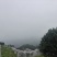 高山东魁杨梅