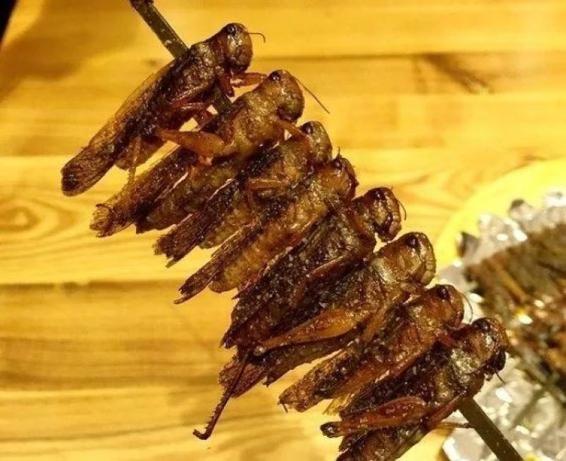 串康蚂蚱串200支