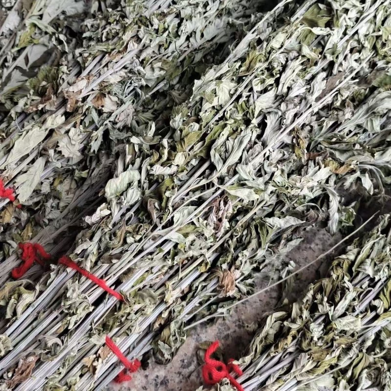 干艾草艾草大叶艾草鲜艾草