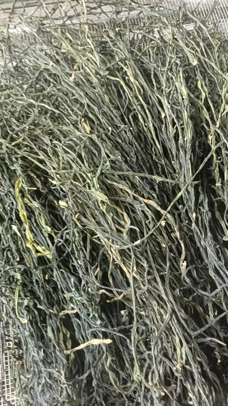 干豆角青条豆角