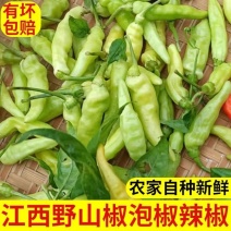 江西高山野山椒泡椒辣椒小米辣朝天椒白辣椒魔鬼辣椒