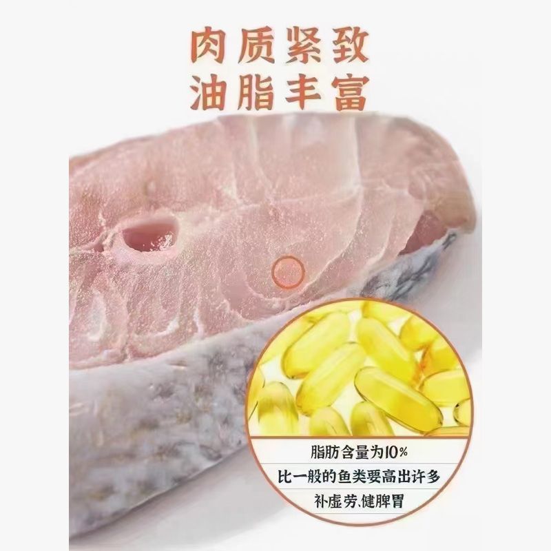 湛江特产一夜埕马友鱼特大中段鱼片深海船捕淡盐保鲜真空包装批发