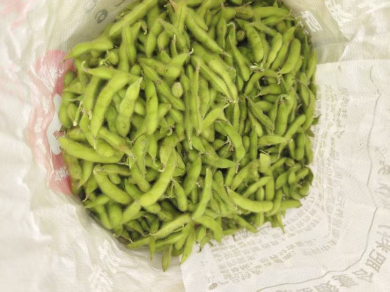 现摘现发新鲜毛豆