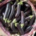 茄子，食堂货