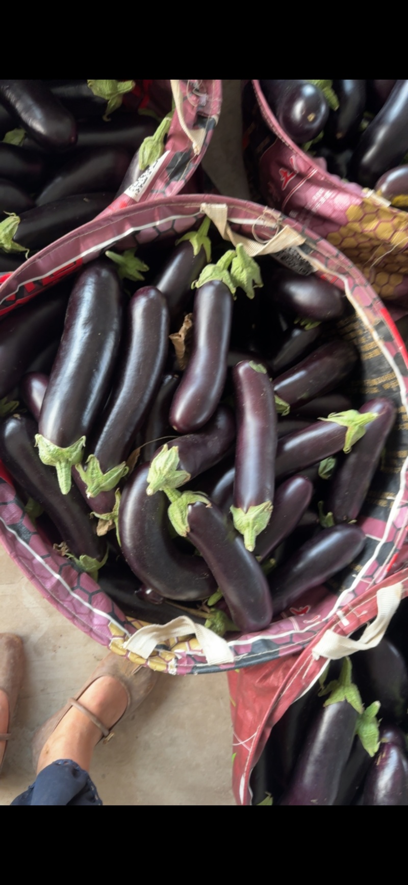 茄子，食堂货