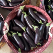 茄子，食堂货