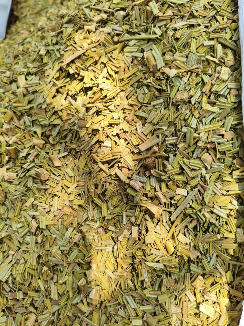 铁树叶