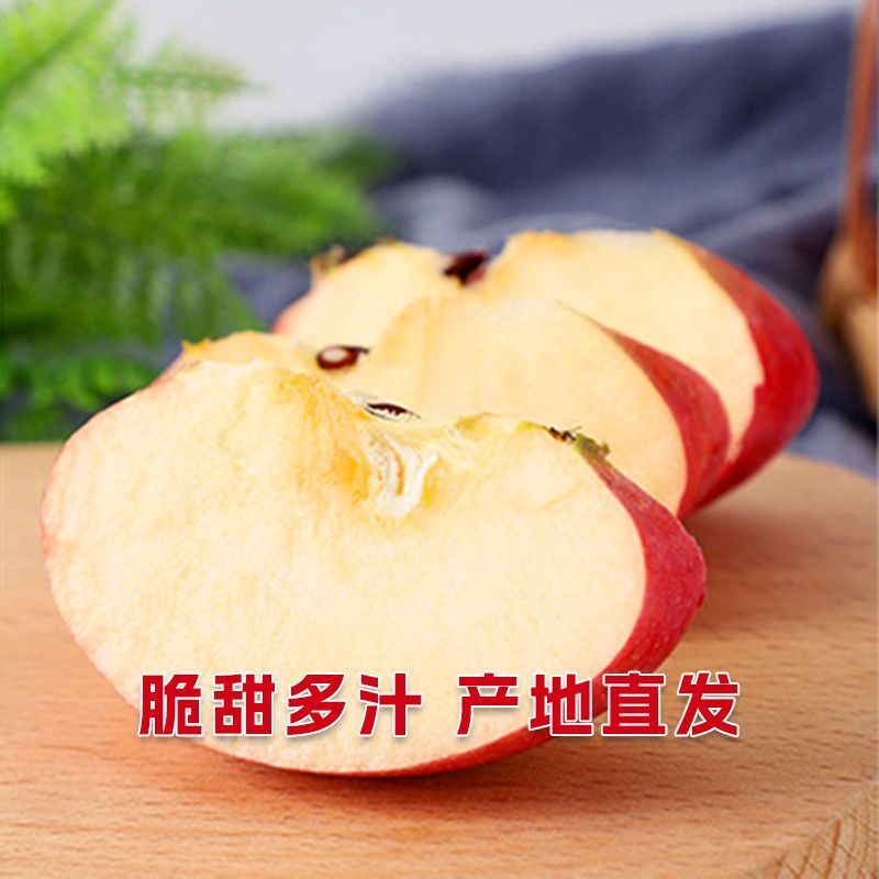 红富士苹果/沂水红富士苹果已大量上市