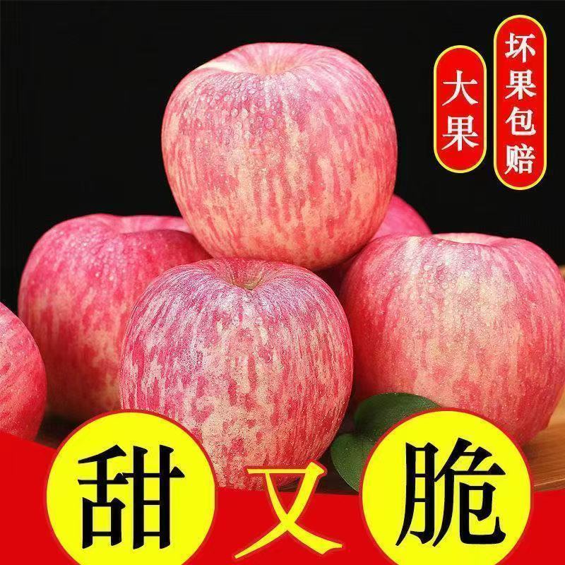 红富士苹果/沂水红富士苹果已大量上市