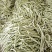 大量供应山西应县白不老、白王豆角